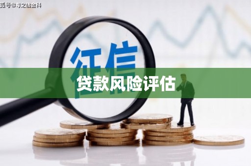 藤县贷款风险评估