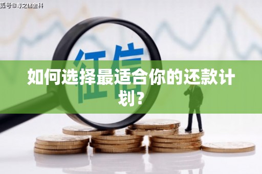 藤县如何选择最适合你的还款计划？