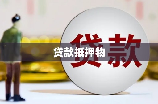 藤县贷款抵押物