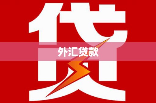 藤县外汇贷款