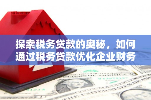 藤县探索税务贷款的奥秘，如何通过税务贷款优化企业财务