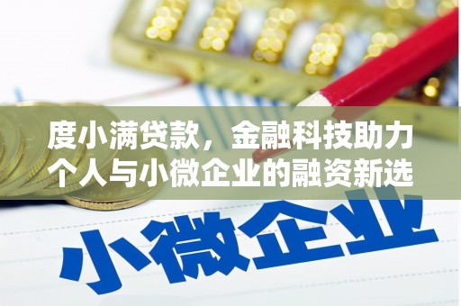 藤县度小满贷款，金融科技助力个人与小微企业的融资新选择