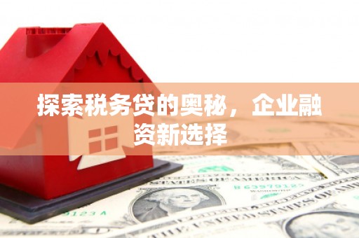 藤县探索税务贷的奥秘，企业融资新选择