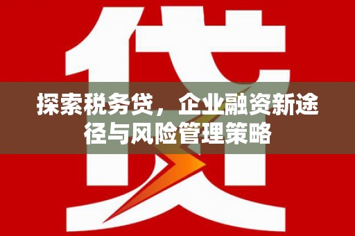 藤县探索税务贷，企业融资新途径与风险管理策略