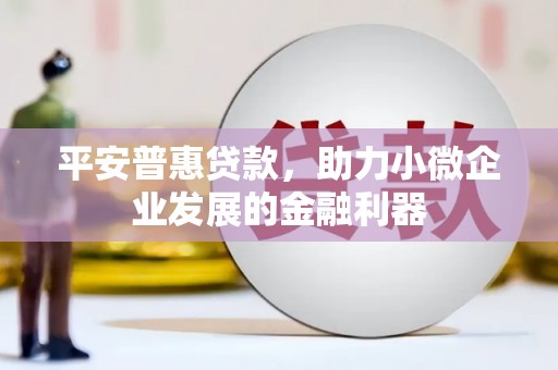 藤县平安普惠贷款，助力小微企业发展的金融利器
