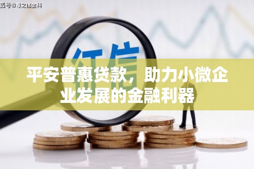 藤县平安普惠贷款，助力小微企业发展的金融利器