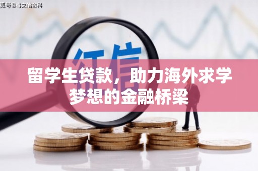 藤县留学生贷款，助力海外求学梦想的金融桥梁