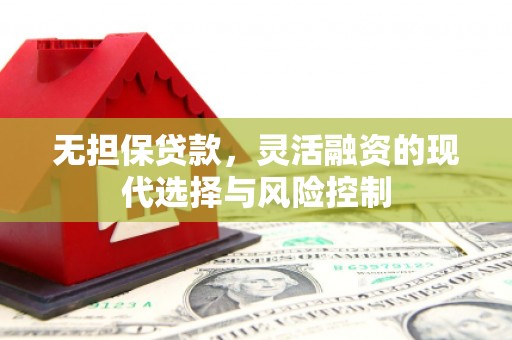 藤县无担保贷款，灵活融资的现代选择与风险控制