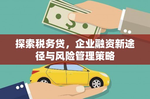藤县探索税务贷，企业融资新途径与风险管理策略