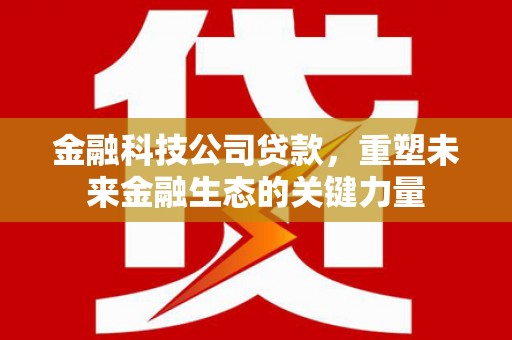 藤县金融科技公司贷款，重塑未来金融生态的关键力量