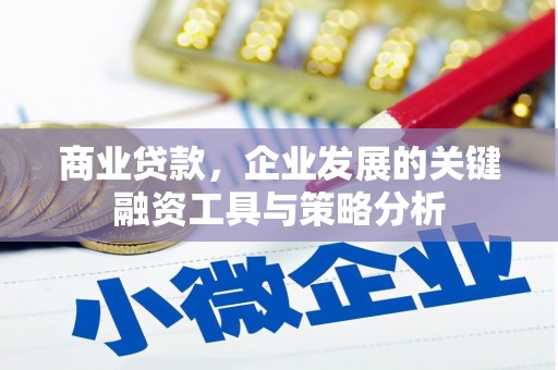 藤县商业贷款，企业发展的关键融资工具与策略分析