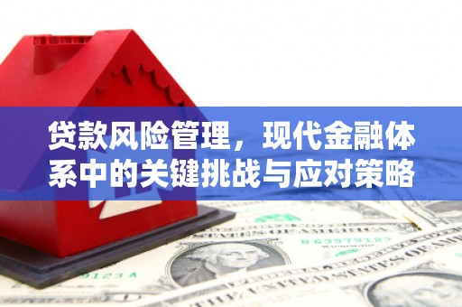 藤县贷款风险管理，现代金融体系中的关键挑战与应对策略