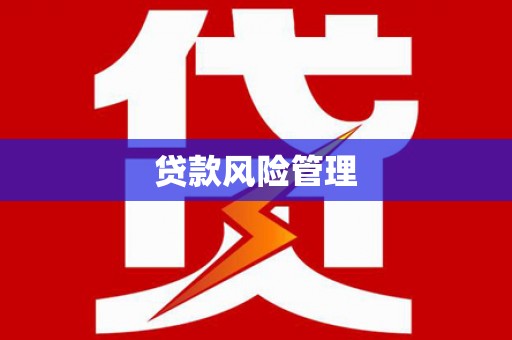 藤县贷款风险管理