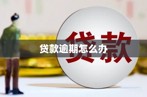 藤县贷款逾期怎么办