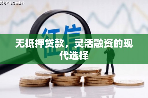 藤县无抵押贷款，灵活融资的现代选择