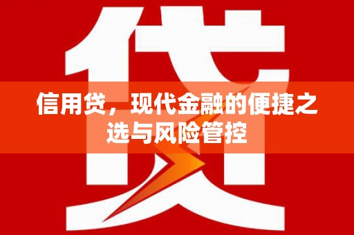 藤县信用贷，现代金融的便捷之选与风险管控