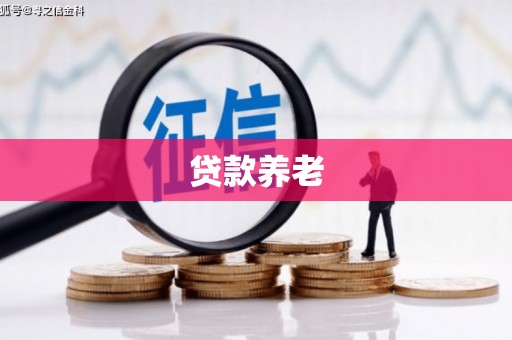 藤县贷款养老