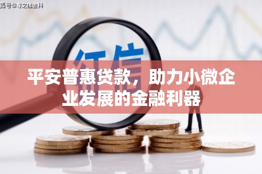 藤县平安普惠贷款，助力小微企业发展的金融利器