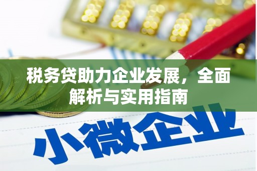 藤县税务贷助力企业发展，全面解析与实用指南