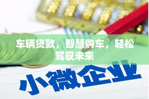藤县车辆贷款，智慧购车，轻松驾驭未来