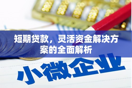 藤县短期贷款，灵活资金解决方案的全面解析