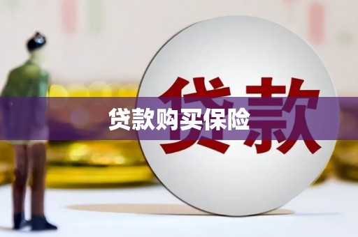 藤县贷款购买保险