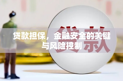 藤县贷款担保，金融安全的关键与风险控制