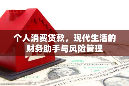 藤县个人消费贷款，现代生活的财务助手与风险管理