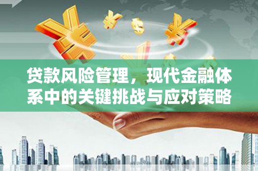 藤县贷款风险管理，现代金融体系中的关键挑战与应对策略