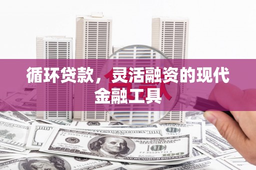 藤县循环贷款，灵活融资的现代金融工具