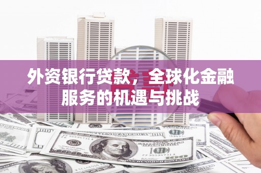 藤县外资银行贷款，全球化金融服务的机遇与挑战