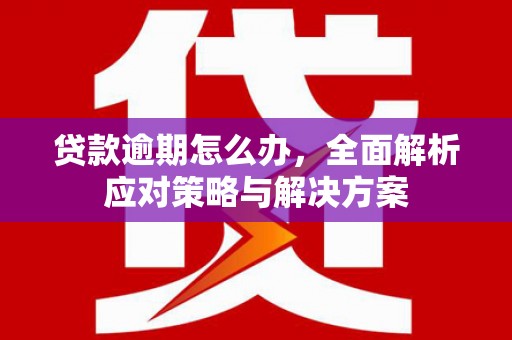 藤县贷款逾期怎么办，全面解析应对策略与解决方案