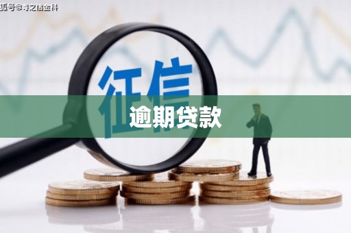 藤县逾期贷款
